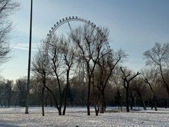 -哈尔滨文化公园