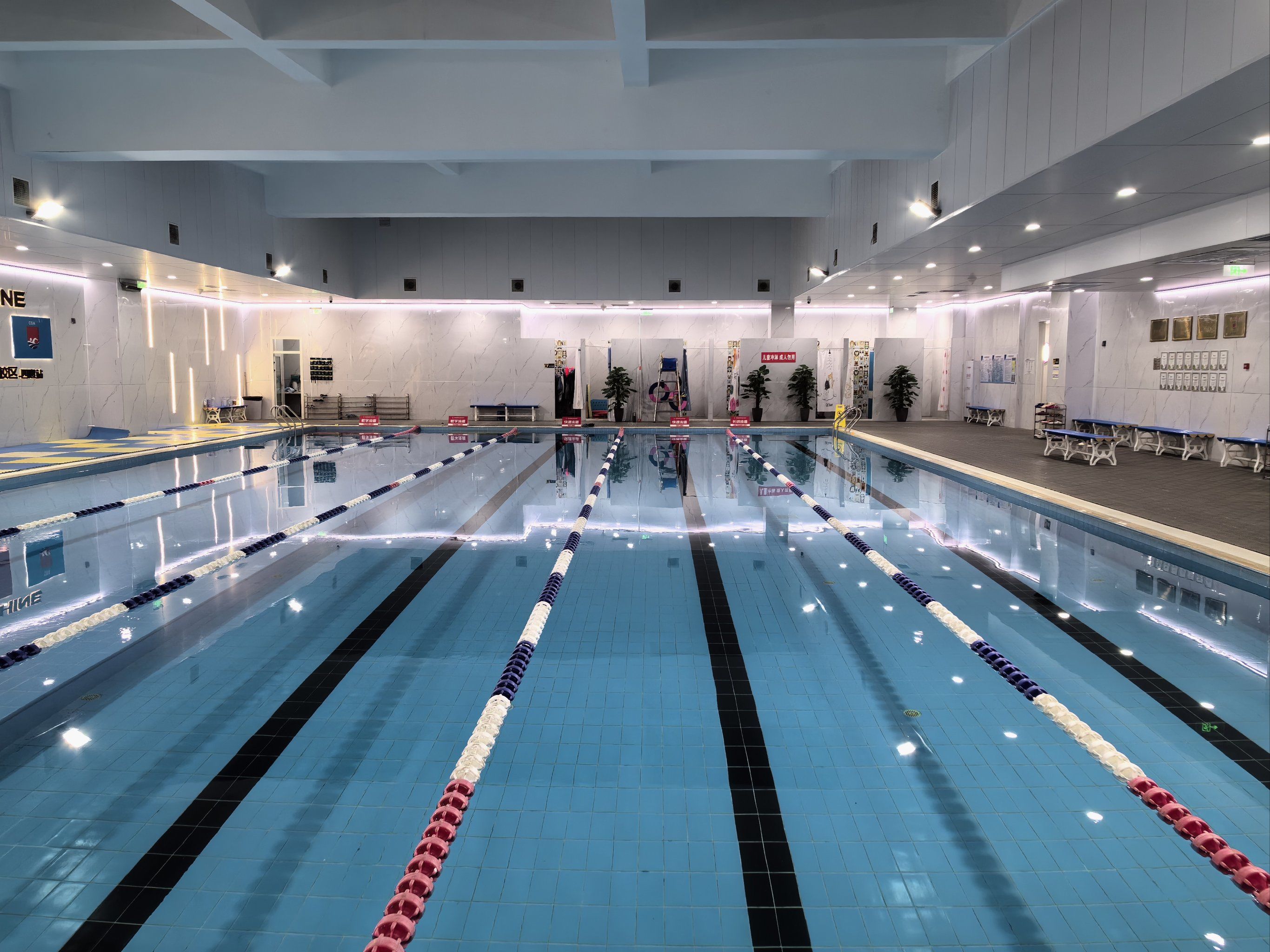 游泳馆的锻炼日常