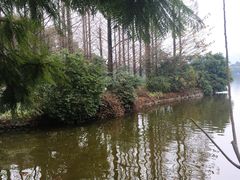 -成都南湖公园