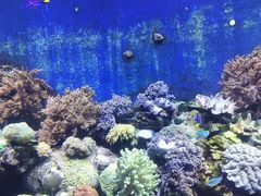 -珠海长隆海洋王国
