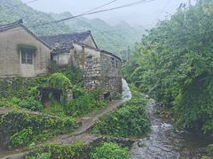 -四明山国家森林公园