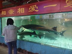 -年辉渔村·非遗传承餐厅(新丰江店)