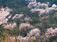 -浙西天池景区
