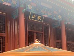 -固驰顺淼汽车贴膜改色·隐形车衣·玻璃贴膜