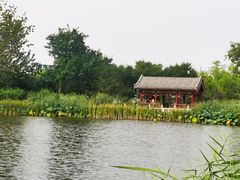 -西海子公园