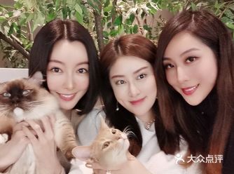 超級可愛的貓咪聖地 40多隻貓咪佔地三層樓