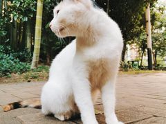 -苏州河梦清园环保主题公园