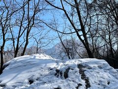 -秦岭终南山世界地质公园翠华山景区