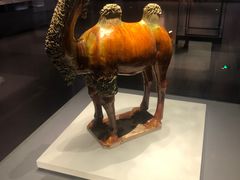 -贵州省博物馆(新馆)