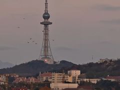 -地二手作鱼汤馄饨(上街里店)