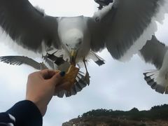 -海驴岛(荣成市)
