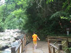 -青峰峡国家森林公园