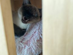 -寰映影城(大融城激光IMAX店)