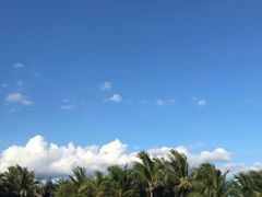 -深圳湾公园(南山区)