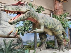 -国家自然博物馆