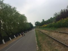 -永定河休闲森林公园