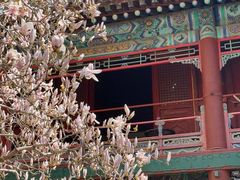 -潭柘寺景区