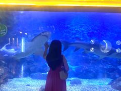 -烟台海昌鲸鲨海洋公园