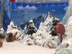 -长沙湘江冰雪世界