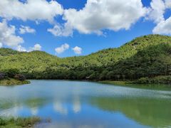 -广州白江湖森林公园