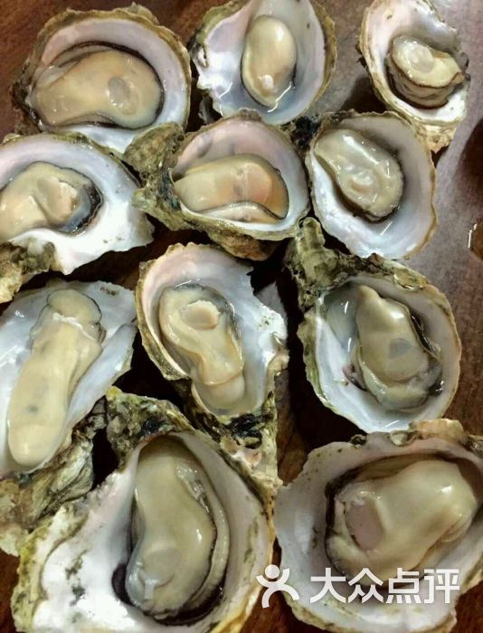 四季美蚝皇图片 - 第271张