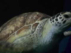-常州海昌海洋探索馆