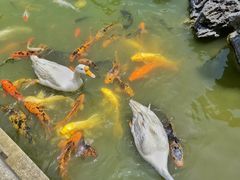 -祝家花園(伯渎港店)