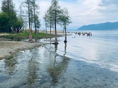 -大理洱海