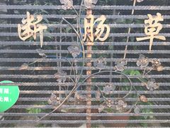 -广州神农草堂中医药博物馆