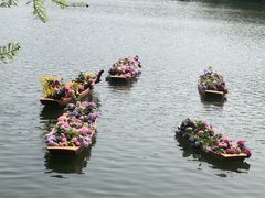 -深圳仙湖植物园