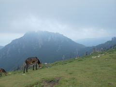 -芦芽山旅游度假区