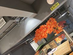 -桃夭日式料理(国信店)