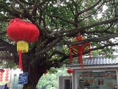 iphone_upload_pic-绿华园休闲山庄