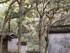 -富春桃源风景区