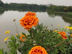 -广州市石门国家森林公园
