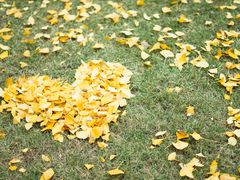 -重庆市江北嘴中央商务区中央公园