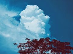 -低涌(地铁站)