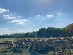 -溱湖国家湿地公园