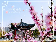 -临汾涝洰河生态公园