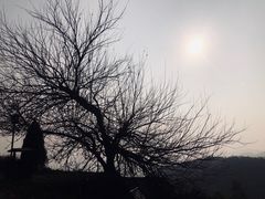 -长沙黑麋峰国家森林公园