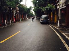 -海丝金凤(金鱼店)