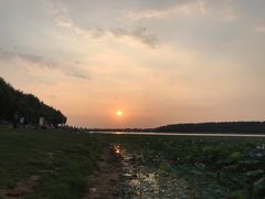 -丁香湖公园