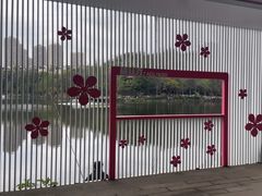 -重庆彩云湖湿地公园