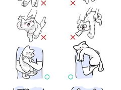 -翊宠yipet猫狗购宠庄园犬舍•猫舍