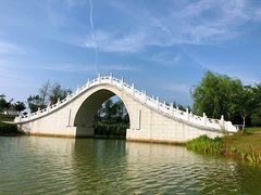 -金卉庄园