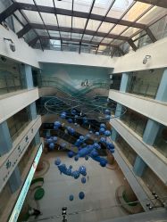 -上海浦滨儿童医院