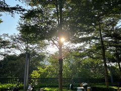 -南宁南湖公园