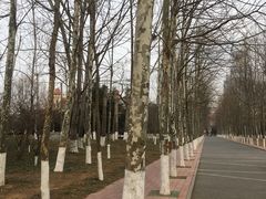 -青岛第三海水浴场