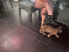 -EATALIA意塔利意式餐厅(鼓楼店)