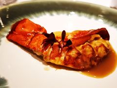 -蝶舍·MAISON PAPILLON